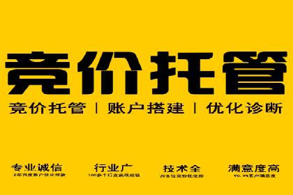 推广竞价中的关键词选择与优化——案例分析